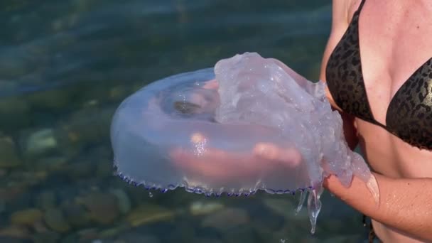 Woman Holds a Large Sea Jellyfish contra el telón de fondo del Mar Negro. Rizostoma — Vídeo de stock