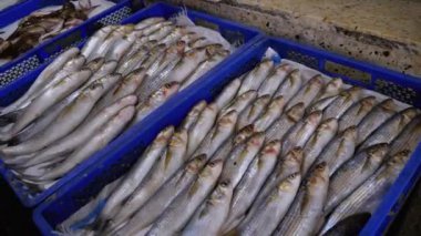 Buzda Taze Deniz Balığı Deniz Ürünleri Sokağı Marketi 'nde satıldı..
