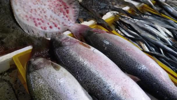 Peixe de mar fresco em gelo vendido na mostra do mercado de rua de frutos do mar . — Vídeo de Stock