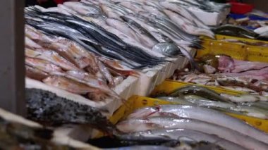 Buzda Taze Deniz Balığı Deniz Ürünleri Sokağı Marketi 'nde satıldı..