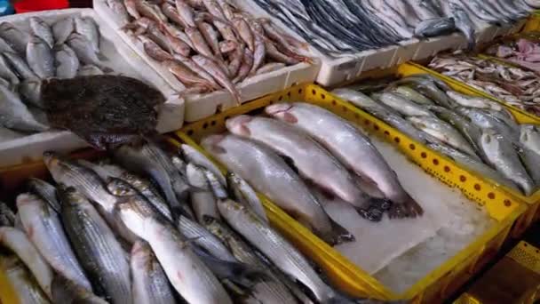 Pescado marino fresco en hielo vendido en el escaparate del mercado callejero de mariscos . — Vídeo de stock