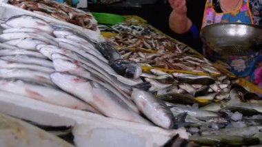Satıcı kadın, Balık Pazarında Buzda Taze Deniz Balığı Satıyor. Deniz Ürünleri Dükkanı Gösterisi
