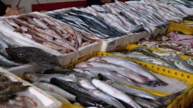 Buzda Taze Deniz Balığı Deniz Ürünleri Sokağı Marketi 'nde satıldı..