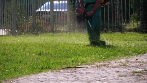 Man Gardener seká trávu na trávníku pomocí benzínové sekačky v parku. Pomalý pohyb — Stock video
