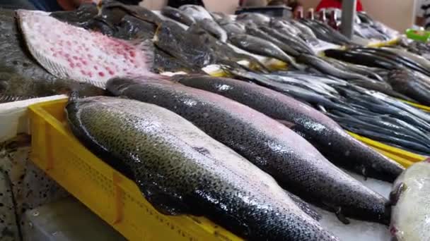 Färsk havsfisk i is Såld på Showcase of Seafood Street Market. — Stockvideo