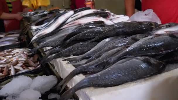 Verse zeevis in ijs Verkocht op de vitrine van Seafood Street Market. — Stockvideo