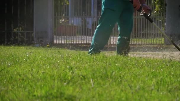 Man Gardener gräver gräset på gräsmattan med hjälp av en bensingräsklippare i parken. Långsamma rörelser — Stockvideo