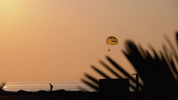 Parasailing en Sunset. Paracaídas volando en cuerda detrás del barco. Vista a través de la silueta de hojas de palma . — Vídeo de stock