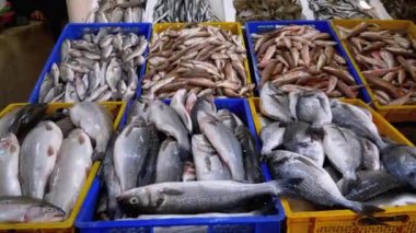 Buzda Taze Deniz Balığı Deniz Ürünleri Sokağı Marketi 'nde satıldı..