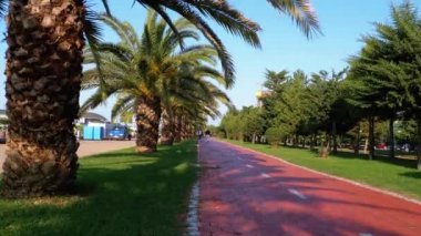 Parkta Palm Trees 'le kırmızı bisiklet yolu boyunca sürmek, birinci şahıs manzarası..