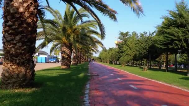 Paardrijden langs het rode fietspad in het park met palmbomen, eerste persoon uitzicht. — Stockvideo