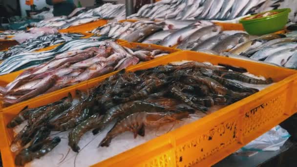 Peixe de mar fresco em gelo vendido na mostra do mercado de rua de frutos do mar . — Vídeo de Stock