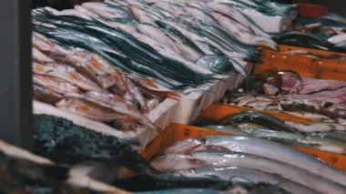 Buzda Taze Deniz Balığı Deniz Ürünleri Sokağı Marketi 'nde satıldı..