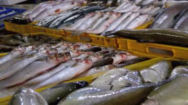 Buzda Taze Deniz Balığı Deniz Ürünleri Sokağı Marketi 'nde satıldı..