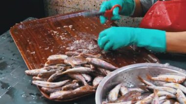 Market Stall 'daki Balığı Kesmek. Kadın Elle Temizleme ve Taze Balık Kesme