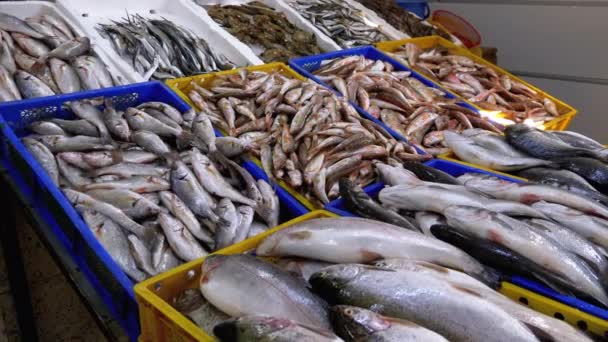 Peixes do mar fresco no gelo no mercado de frutos do mar. Peixe vendido na rua . — Vídeo de Stock