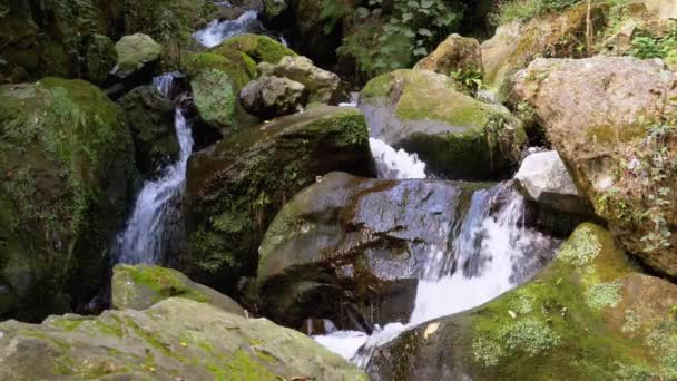 Mountain Creek. Água se move através de rochas nas montanhas — Vídeo de Stock