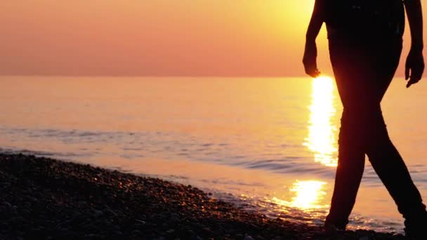 Silhouet van een vrouw bij zonsondergang die langs de kust loopt — Stockvideo
