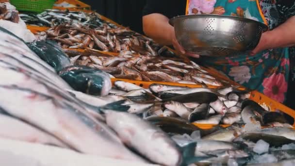 Az eladónő friss tengeri halat árul a jégen egy utcai halpiacon. A Seafood Shop bemutatója — Stock videók