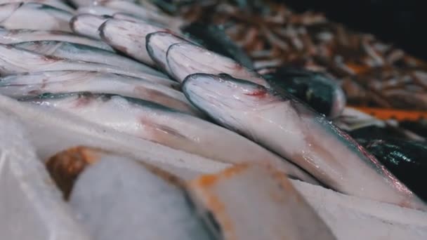 Pescado marino fresco en hielo vendido en el escaparate del mercado callejero de mariscos . — Vídeo de stock