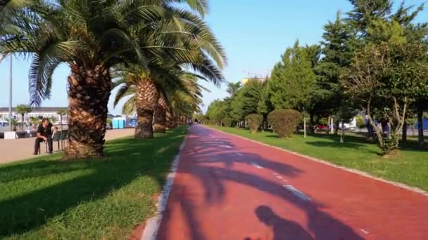 Paardrijden langs het rode fietspad in het park met palmbomen, eerste persoon uitzicht. — Stockvideo