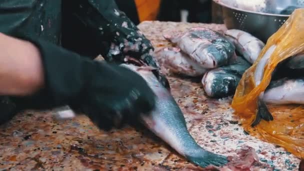 시장에서 물고기를 기르고 자르는 일을 한다. 손으로 청소하고 싱싱 한 생선을 자르는 여자 — 비디오