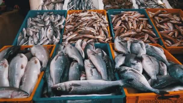Свіжі морські риби в кризі продаються на вітрині вуличного ринку морепродуктів. — стокове відео
