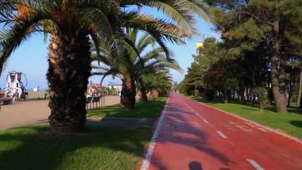 Paardrijden langs het rode fietspad in het park met palmbomen, eerste persoon uitzicht. — Stockvideo