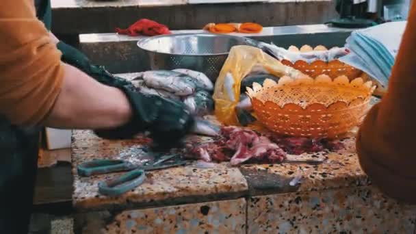 Cortar pescado en el puesto del mercado. Mujer Limpieza manual y cortes de pescado fresco — Vídeo de stock