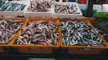 Buzda Taze Deniz Balığı Deniz Ürünleri Sokağı Marketi 'nde satıldı..