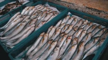 Buzda Taze Deniz Balığı Deniz Ürünleri Sokağı Marketi 'nde satıldı..