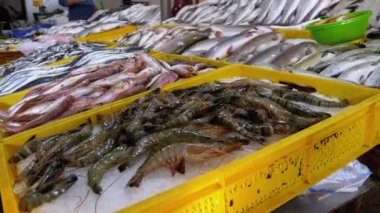 Buzda Taze Deniz Balığı Deniz Ürünleri Sokağı Marketi 'nde satıldı..