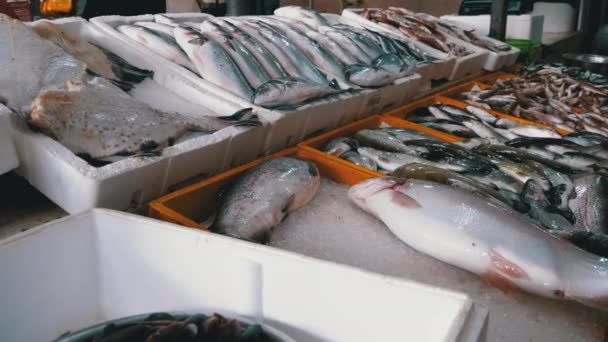 해산물 시장의 반대편에 있는 얼음에 신선 한 바 다 물고기가 있습니다. 거리에서 팔리는 물고기. — 비디오