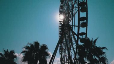 Güneşli bir günde Palm Trees yakınlarında Dönme dolabın silüeti Güneş 'e karşı Mavi Gökyüzüne karşı