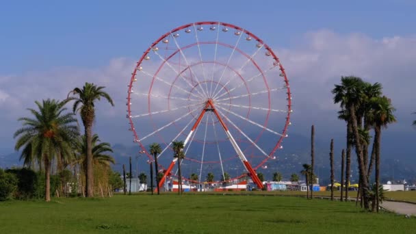 Ruota panoramica contro il cielo blu con nuvole vicino alle palme nella località turistica, Sunny Day — Video Stock