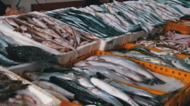 Buzda Taze Deniz Balığı Deniz Ürünleri Sokağı Marketi 'nde satıldı..