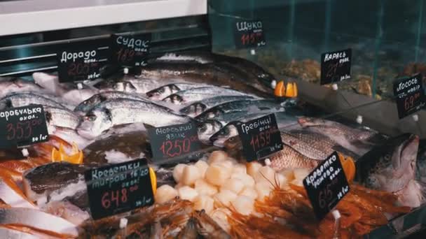 Peixes de mar fresco no gelo com preço Etiquetas são venda na janela da loja . — Vídeo de Stock