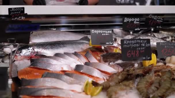 Poisson de mer frais dans la glace avec les étiquettes de prix sont vendus sur la fenêtre de la boutique . — Video