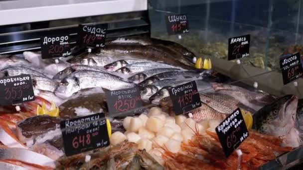 Świeże ryby morskie w lodzie z tagami cenowymi są na sprzedaż w witrynie sklepu. — Wideo stockowe