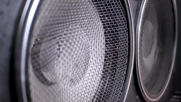 Hraje Bass Speaker Membrane. Loopable. The Movement of the Vintage Paper Cone. Pomalý pohyb — Stock video