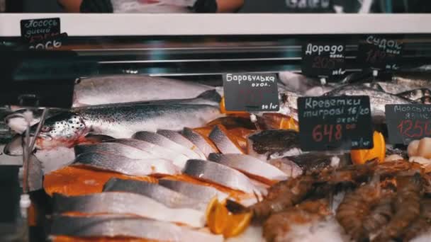 Frischer Meeresfisch im Eis mit Preisschildern wird im Schaufenster verkauft. — Stockvideo