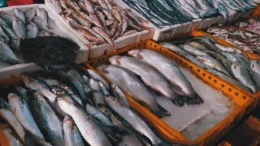 Buzda Taze Deniz Balığı Deniz Ürünleri Sokağı Marketi 'nde satıldı..