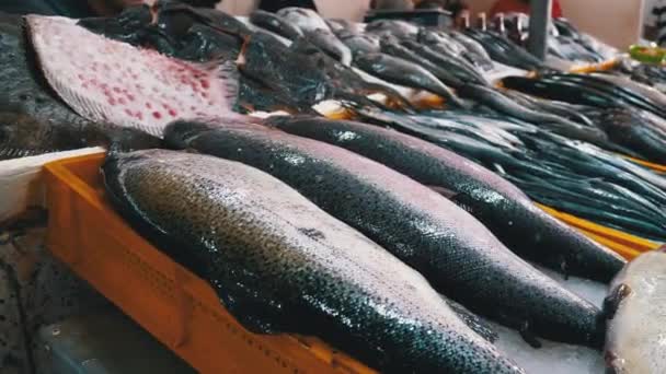 Peixe de mar fresco em gelo vendido na mostra do mercado de rua de frutos do mar . — Vídeo de Stock