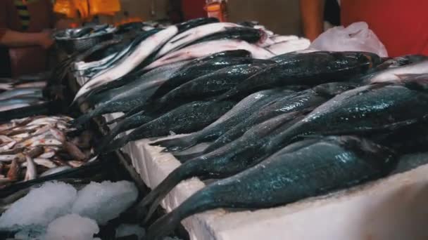 Pescado marino fresco en hielo vendido en el escaparate del mercado callejero de mariscos . — Vídeo de stock