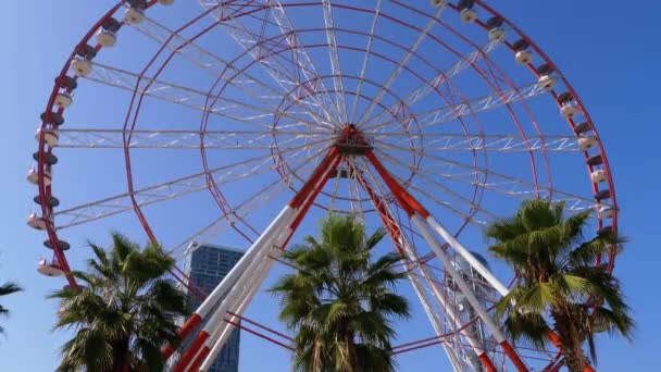Ferris Wheel contra o céu azul perto das palmeiras na cidade Resort, dia ensolarado — Vídeo de Stock