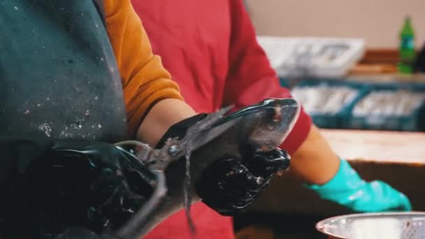 Escalonamento e corte de peixes em Market Stall. Mulher manual de limpeza e cortes de peixe fresco — Vídeo de Stock