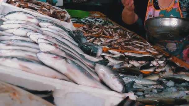 Verse zeevis in ijs Verkocht op de vitrine van Seafood Street Market. — Stockvideo