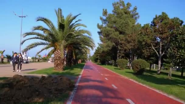 Paardrijden langs het rode fietspad in het park met palmbomen, eerste persoon uitzicht. — Stockvideo