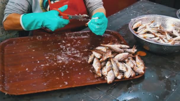 Fischschneiden im Marktstand. Frau putzt manuell und schneidet frischen Fisch — Stockvideo