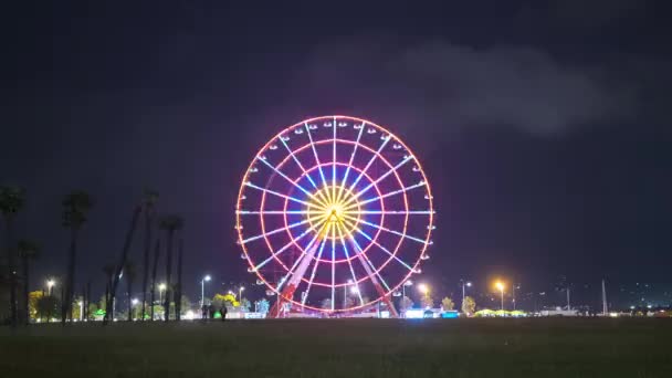 Riesenrad dreht sich nachts mit farbigen Lichtern — Stockvideo